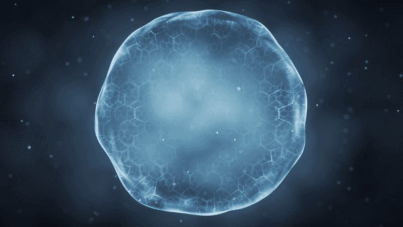 重组蛋白生物制品，如何评估厂家资质？**