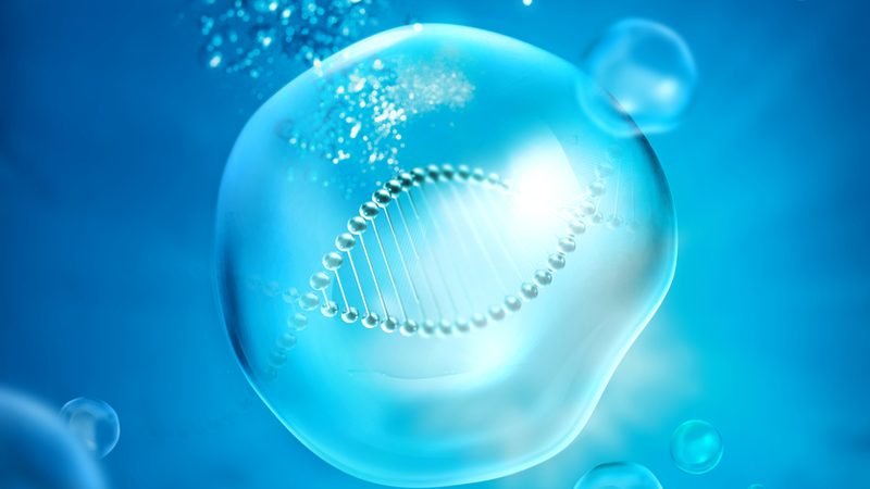 CDMO完整报价流程：揭秘医药研发的“幕后英雄