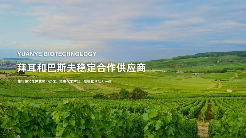 遗传病基因检测为什么总被误解