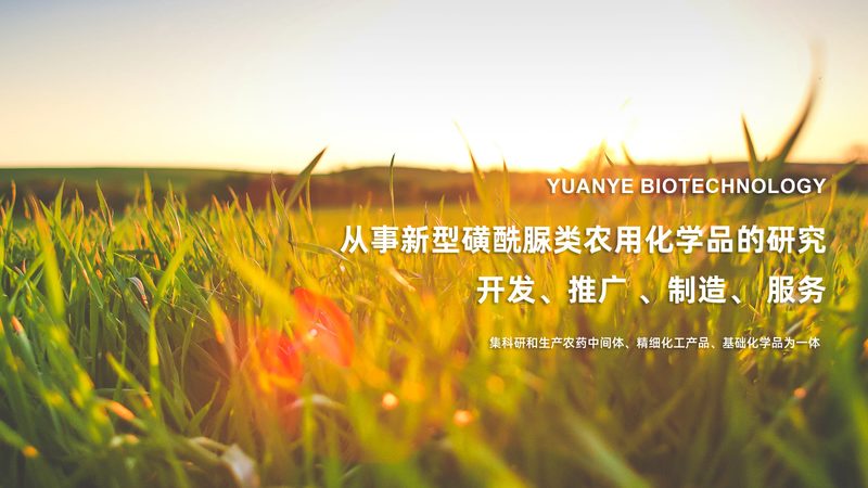CDMO定制研发服务：揭秘医药研发的“幕后英雄