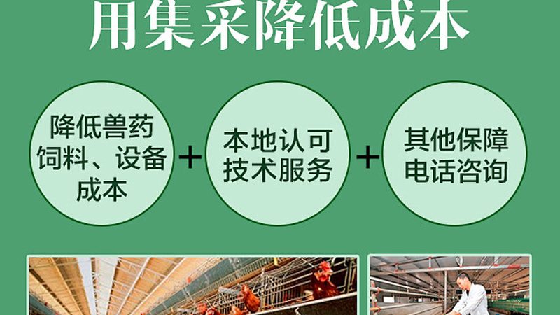 基因检测机构技术优势：如何识别上海机构的差异化竞争力**