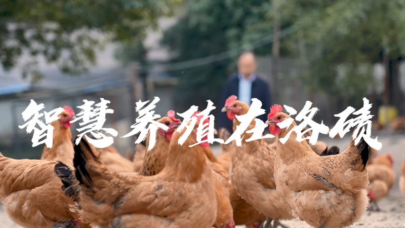 根据不同的需求，抗原检测和PCR检测适用于不同的场景：