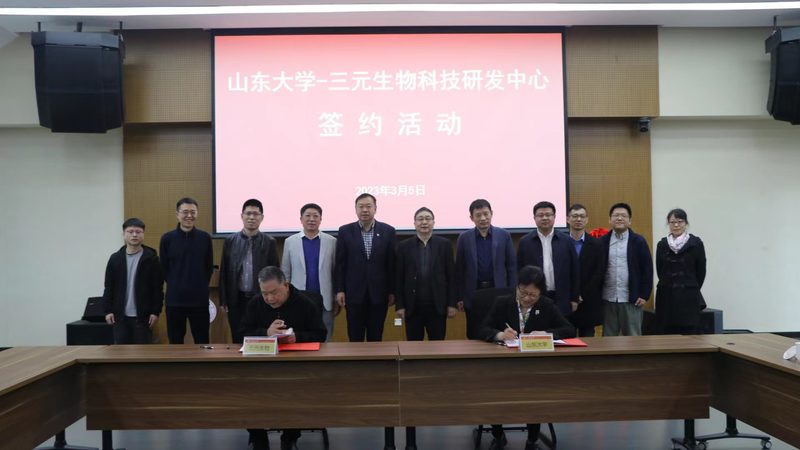小分子CDMO绿色化学工艺：揭秘高效环保的药物合成之道**