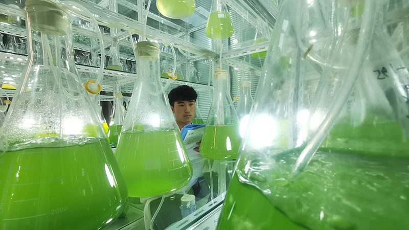 细胞培养耗材，如何正确使用？揭秘使用步骤与关键要点**
